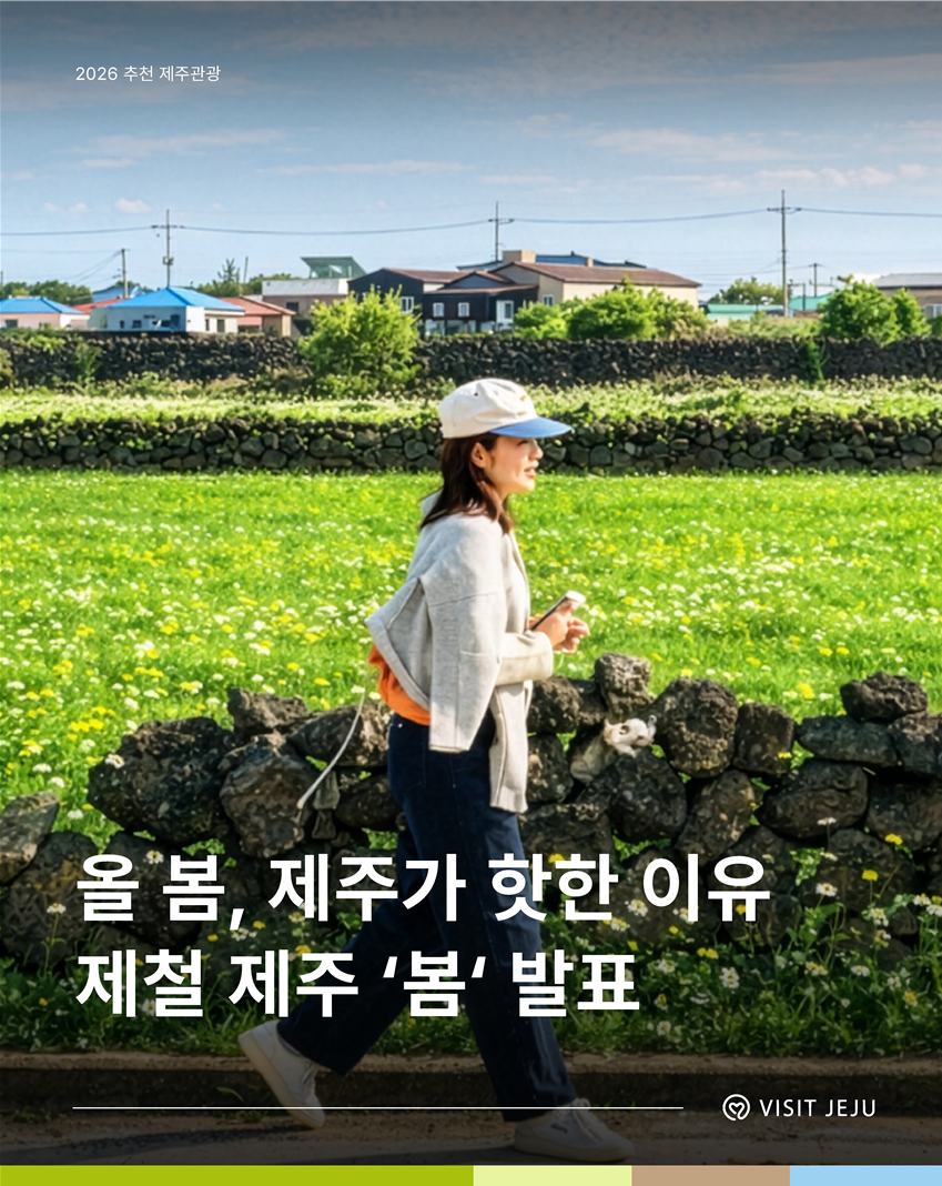 제주.png