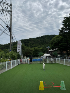 스윗 강놀.png
