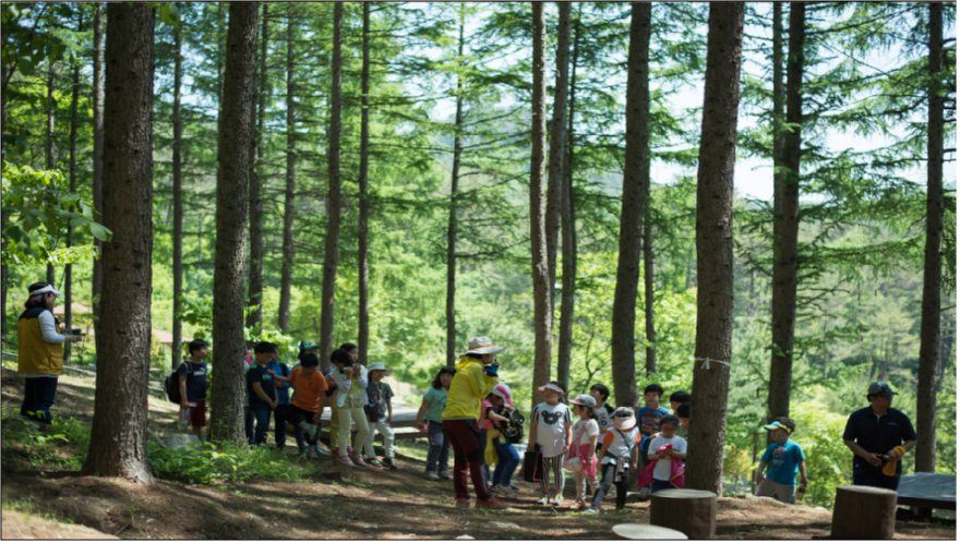 매봉산치유.png