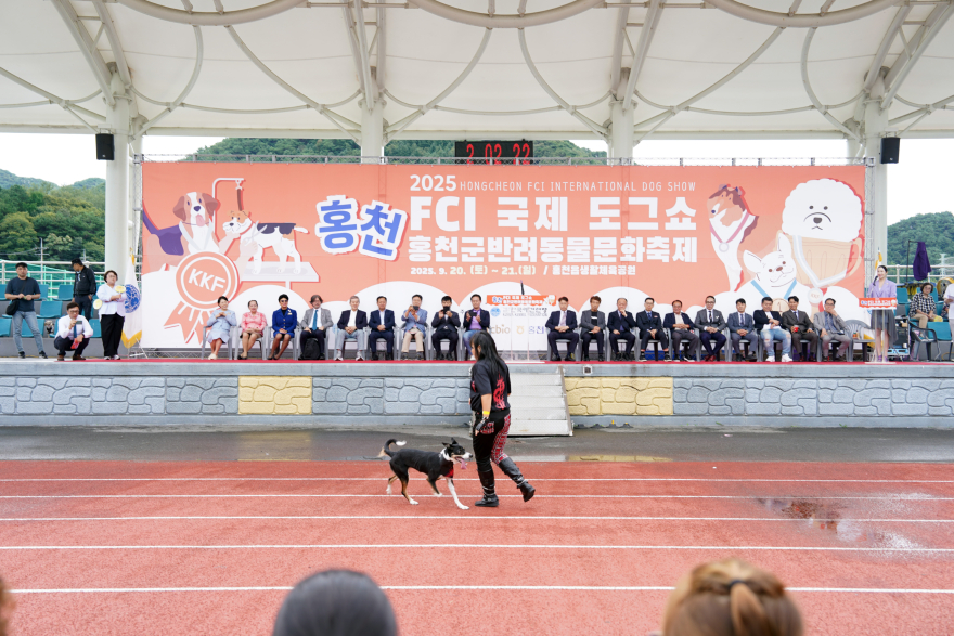 홍천도그1.jpg