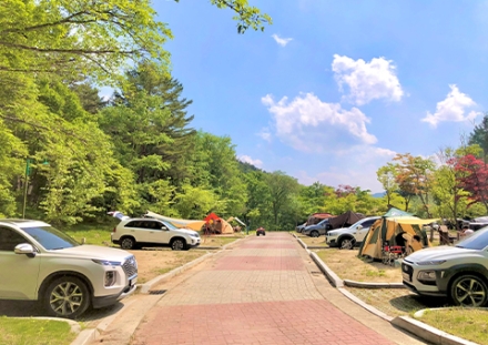 평창군시설관리공단, 광천선굴·계방산오토캠핑장 동절기 이용료 할인 실시