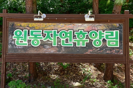영남에서 알프스를 느껴보세요! 경남 양산 원동자연 휴양림