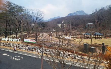 북한산 품에서 즐기는 도심 속 숲 캠핑, 우이동 가족캠핑장