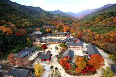 구례 화엄사, ‘캠플스테이’로 MZ세대 붙잡아