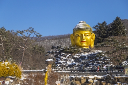 경기도 설경 여행지, 눈에 덮인 이국적 사찰 ‘용인 와우정사’