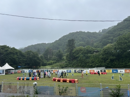 [반려가족 캠핑문화 기획①] 여행을 넘어 함께 즐기는 시대… 펫캠핑과 어질리티의 성장