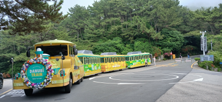 부산 여름 대표 꽃축제 '제16회 수국꽃 문화축제' 9일 개막… 태종대 수국 절정의 아름다움 선사
