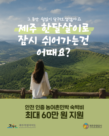 50팀 모집에 178팀 몰려…제주 안전 인증 농어촌민박 '한 달 살기' 인기